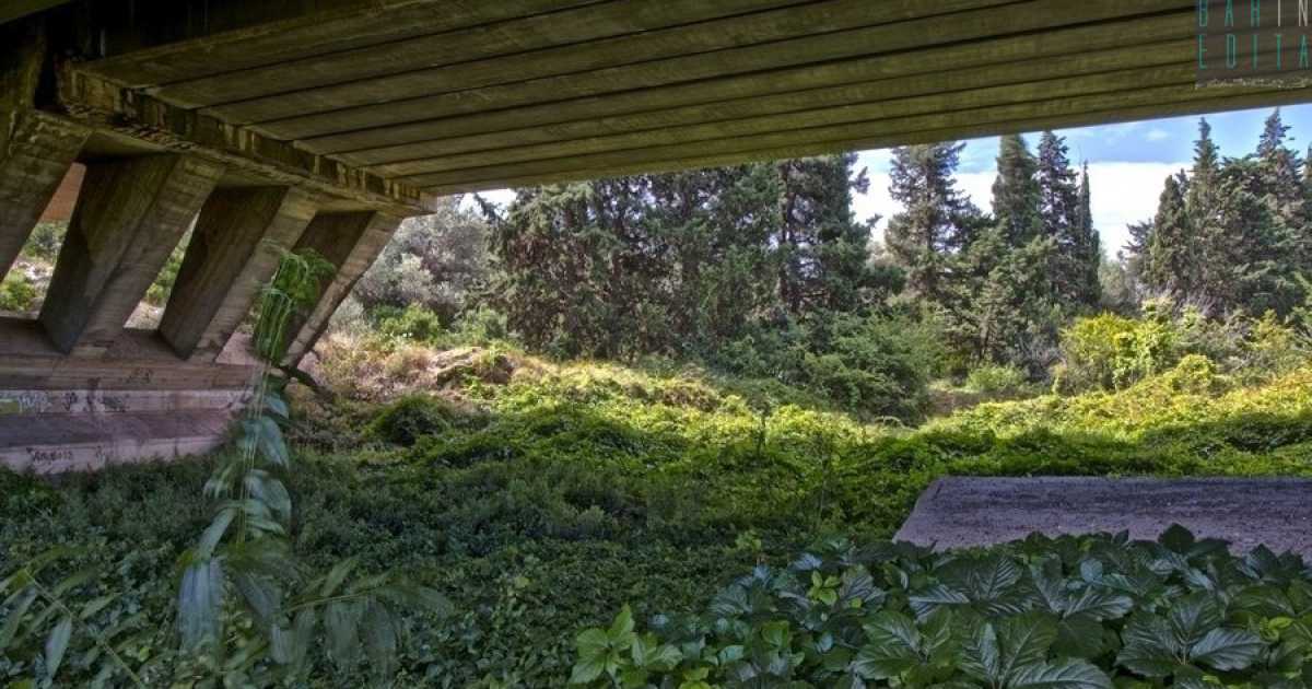 Lama Giotta, il selvaggio e lussureggiante "fiume verde" che attraversa Torre a Mare